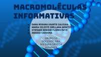 Macromoléculas informativas