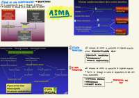Tratamiento de la exacerbación obstructiva: Bromuro de Ipratropio y Corticoides