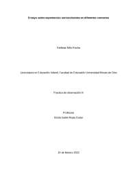 ENSAYO SOBRE EXPERIENCIAS SOCIOCULTURALES EN LA INFANCIA