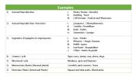 NCERT All examples class 11 and 12