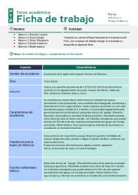 Semana 2 individuo y ambiente