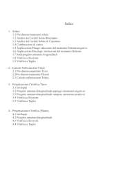 Progetto etivity strutture in Cemento Armato C.A.