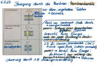 Membrankanäle und ihr Aufbau