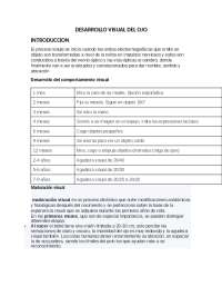 SINTESIS DE LA IMPORTANCIA DEL CUIDADO PRINCIPAL DE LOS OJOS