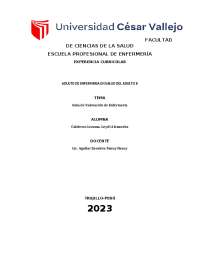 GUIS DE VALORACION Y PATRONES FUNCIONALES