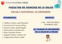 Cuidado de Enfermería en Infecciones del Tracto Urinario - Prof. Vasquez
