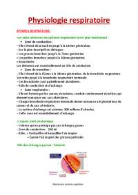 Mécanique Respiratoire et Échanges Gazeux: Guide Complet pour Biologistes
