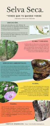 Infografia de Selva Seca en Mèxico