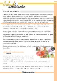 Salud y Contaminación