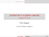 Rango di una Matrice: Esercizi e Applicazioni in Algebra Lineare - Prof. Spaggiari