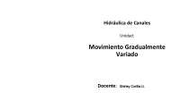 Movimiento gradualmente variado