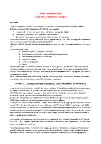 sintesi del libro 'PNRR E FORMAZIONE la via della transizione ecologica'