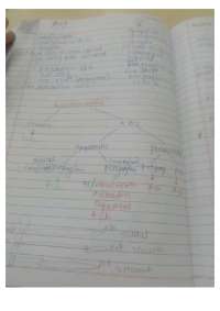 Ans  pharmacology it explain about the adrenergic drugs and the receptor effect on organ