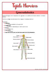 Sistema Nervioso: Generalidades y Clasificación