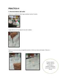 Práctica de Reconocimiento del Sodio en Química - Prof. Vilca Siguas