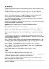 riassunto del libro formatura e fonderia