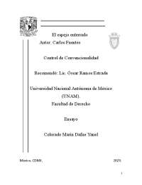Análisis sobre el Espejo enterrado