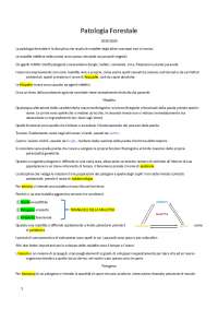 Basi di patologia vegetale e principali patogeni di interesse forestale