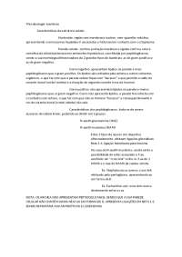 Microbiolocia características bactérias