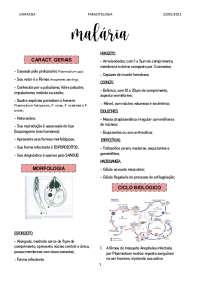 Resumo sobre a Parasitose: MALÁRIA