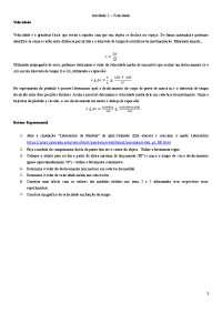 Atividade 2 - Velocidade: Determinando a Velocidade Média de um Pêndulo