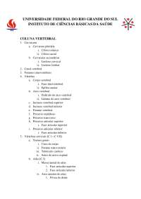 Coluna vertebral anatomia