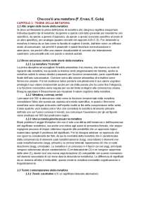 Riassunto di "Che cos'è una metafora"