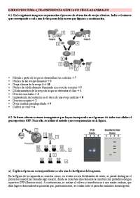 Ejercicios resueltos de transferencia génica en animales