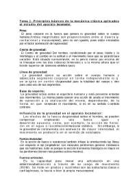 Principios básicos de la fisioterapia