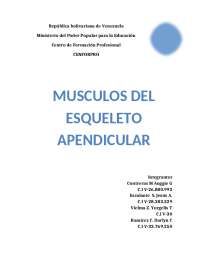 Anatomía del Esqueleto Apendicular: Músculos de los Miembros Superior e Inferior