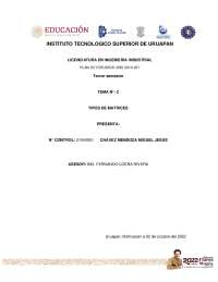 ORGANIGRAMA DE TIPOS DE MATRICES
