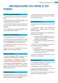 Metabolismo do Heme e do Ferro