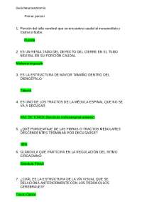 Neuro ayuda preguntas