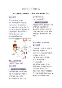 Metabolismo do cálcio e fósforo