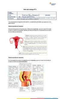 Guía de ejercicios del aparato reproductor