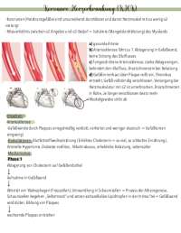 Herzerkrankungen in Phys