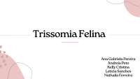 Trissomia felina slides de apresentação