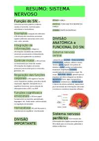 RESUMO SISTEMA NERVOSO BÁSICO
