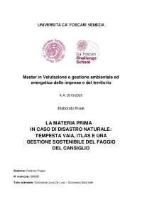 Tesi master sul disastro Vaia del 2018