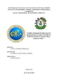 INFORME DE CAMPO DE LA ISLA DON MARTIN  Y PLAYA TAMBO DE MORA- VEGUETA-PERU