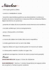 Resumo do Núcleo Celular nível universitário