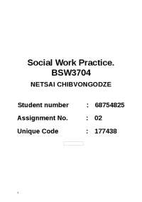 BSW3703_Assignment_2 - Social Work Practice (2023)