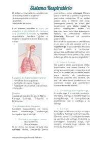 SISTEMA  RESPIRATÓRIO
