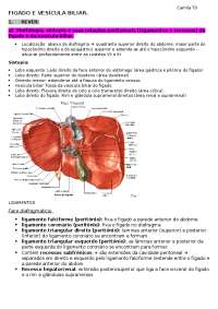 Anatomia do fígado e da vesícula biliar