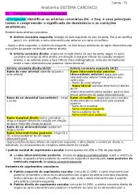 Anatomia do sistema cardíaco