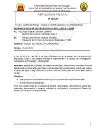 8to_informe_de_fisica_ii_vasquez_2.docx