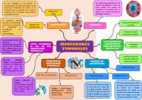 MARCADORES TUMORALES : NEOPLASIAS