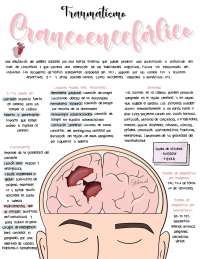 Traumatismo Craneoencefálico (TCE)