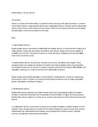 This topic for english literation