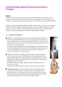 appunti biotecnologie medico-chirurgiche
